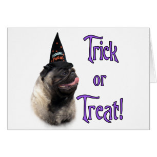 Pug (fawn) Trick