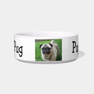 Pug Food Bowl