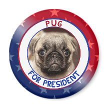 PUG FOR PRESIDENT