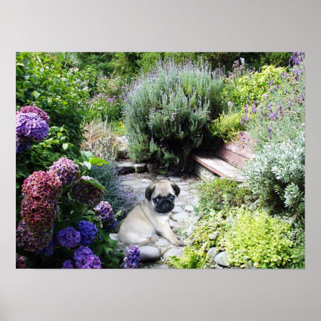Pug Garden Print (Front)