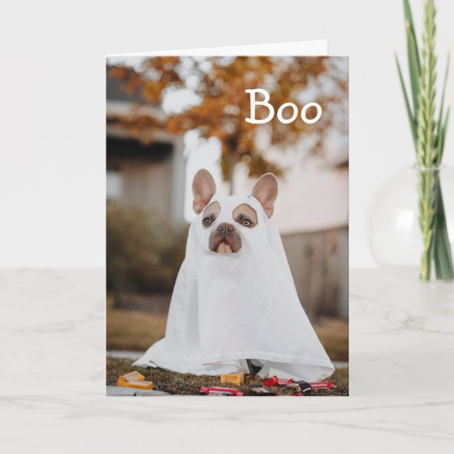 Pug Ghost Dog Halloween Holiday Card (Front)