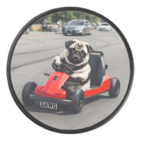 Pug go-kart racing