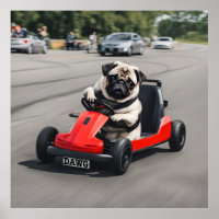 Pug go-kart racing