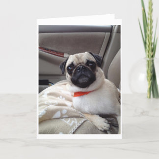 Pug Greeting Card