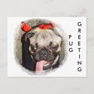 Pug Greeting Postcard