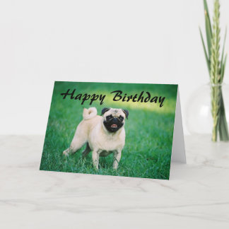 Pug Happy Birthday Card