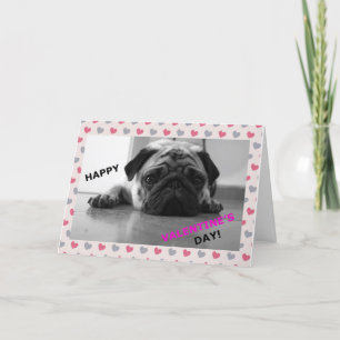 Pug Happy Valentine's Day Card