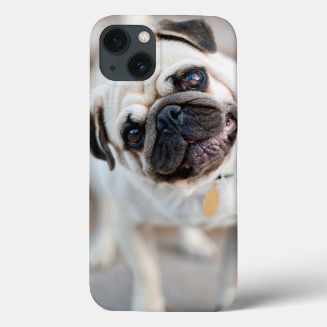 Pug Head Tilt Case-Mate iPhone Case (Back)