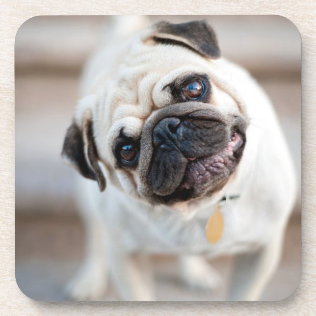 Pug Head Tilt Coaster (Front)