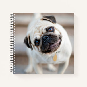 Pug Head Tilt Notebook