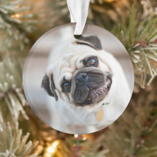 Pug Head Tilt Ornament