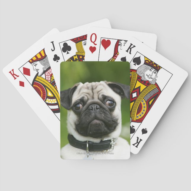 Pug headshot playing cards (Back)