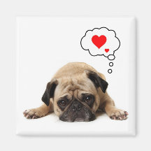 Pug Hearts Magnet