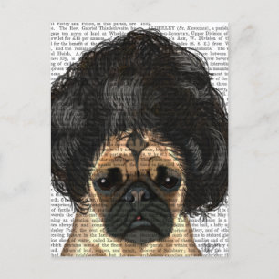 Pug In A Bad Wig Postcard