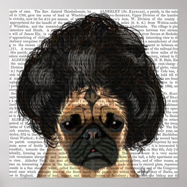 Pug In A Bad Wig Poster (Front)