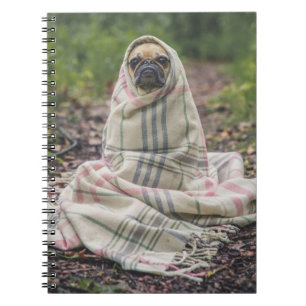 Pug in a Blanket Spiral Notebook