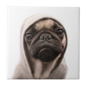 Pug In A Hoodie Tile
