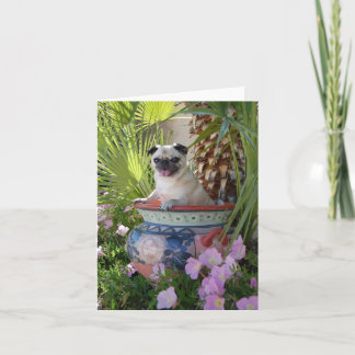 Pug in a Jug Card