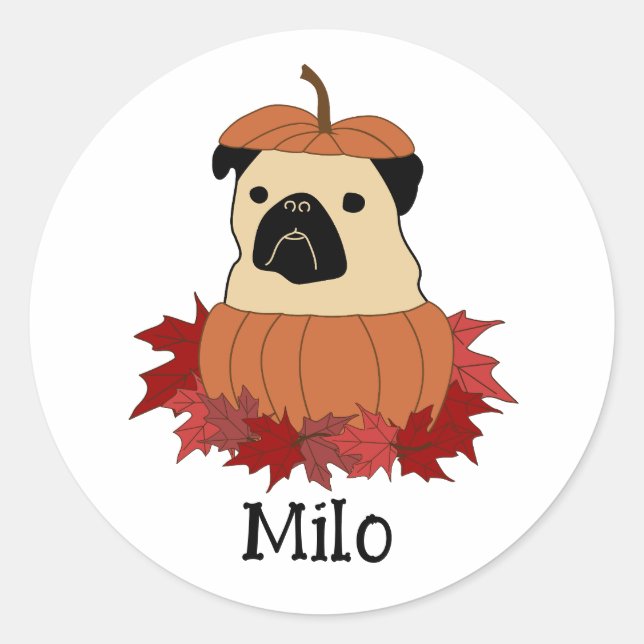 Pug in a Pumpkin Classic Round Sticker (Front)