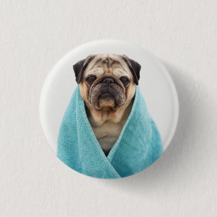 Pug in a Towel 3 Cm Round Badge