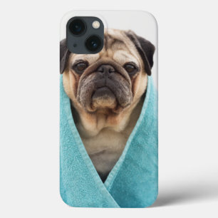 Pug in a Towel iPhone 13 Case