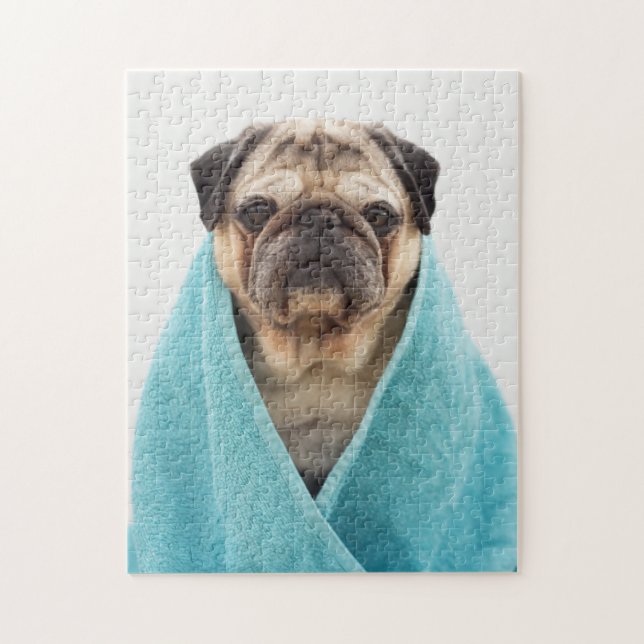 Pug in a Towel Jigsaw Puzzle (Vertical)