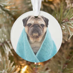 Pug in a Towel Ornament