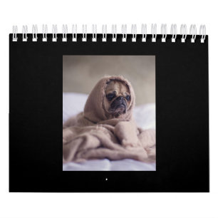 Pug In Blanket Cute Pug Dog Lover Gift Calendar