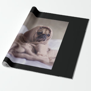 Pug In Blanket Cute Pug Dog Lover Gift Wrapping Paper