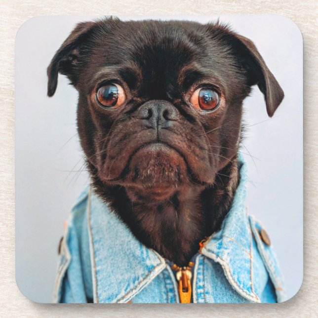 Pug in Denim Jackey Cute Adorable Dog Puppy Coaster (Front)