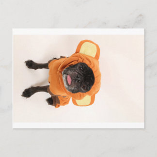 pug in monkey costume postcard
