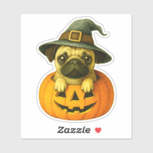 Pug in Pumpkin