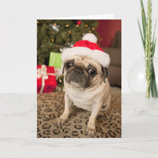 Pug in Santa Claus Hat sitting on carpet Holiday Card (Front)
