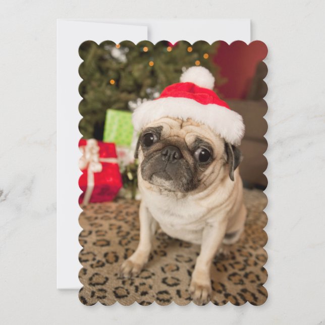 Pug in Santa Claus Hat sitting on carpet Holiday Card (Front)