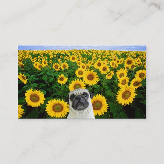 Pug in Sunflowers business cards (Front)