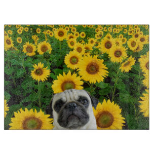Pug in sunflowers cutting board