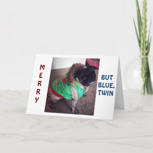 PUG IS "MERRY" BUT "BLUE" CHRISTMAS WITHOUT "TWIN" HOLIDAY CARD