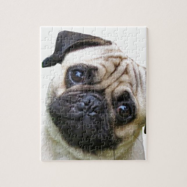 pug jigsaw puzzle (Vertical)
