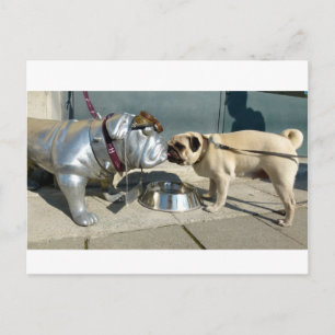 Pug kisses postcard