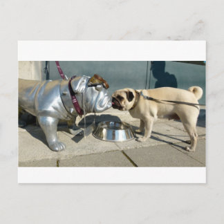 Pug kisses postcard