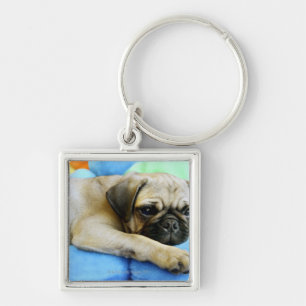 Pug laying on pillows key ring