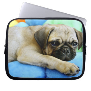Pug laying on pillows laptop sleeve