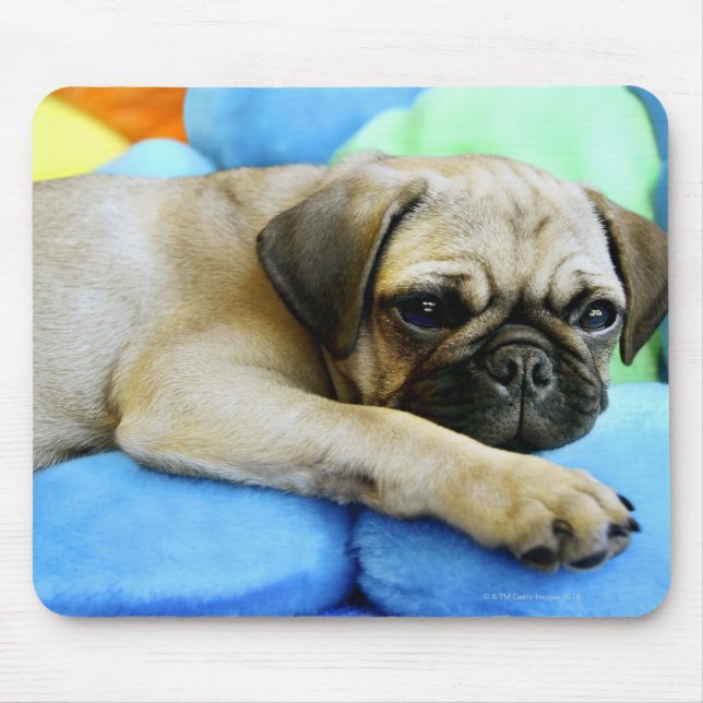 Pug laying on pillows mouse pad (Front)