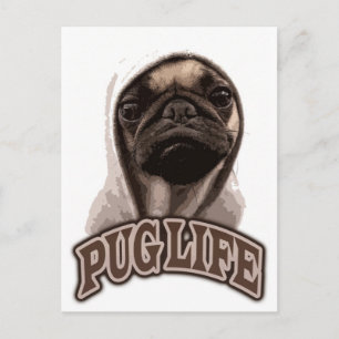 Pug Life Postcard