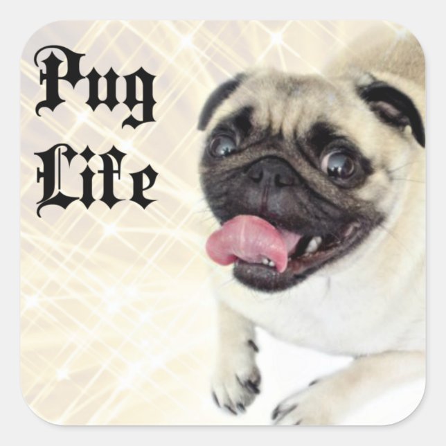 Pug Life Square Sticker (Front)