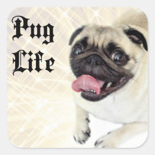 Pug Life Square Sticker