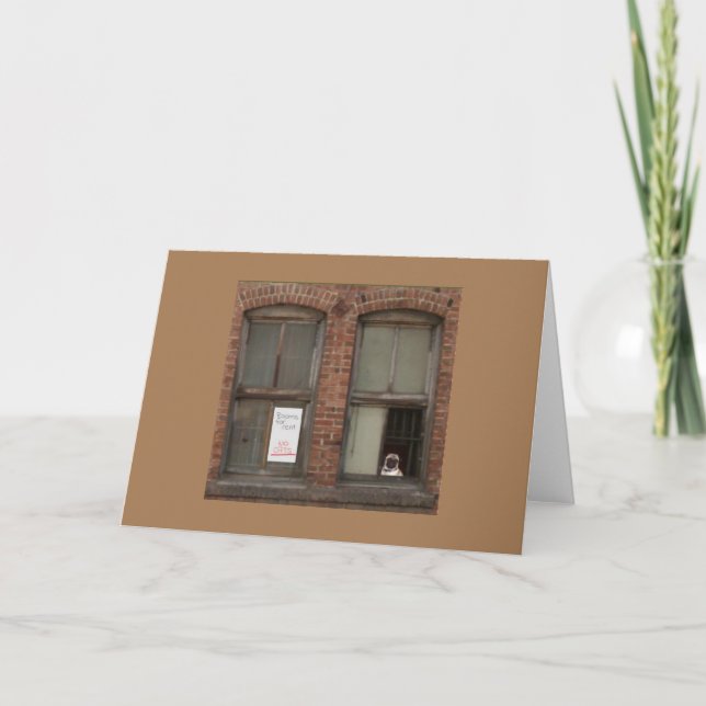 '' Pug Lookout '' Card (Front)