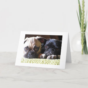 Pug Love Note Cards
