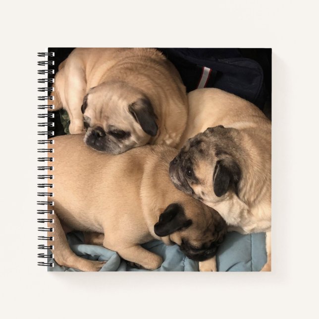 Pug Love Notebook (Front)