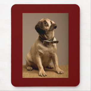 Pug Love Puppy Dog Brown Computer Mousepad